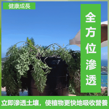 1690278704417966.gif 167653345155397907.gif