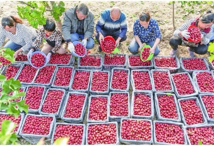 1742923584463851.gif 316cb4c85face3231051664d6eea8608.gif