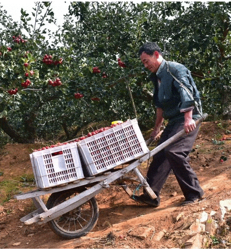 1742923599698021.gif 23e279edc0738d2a841b83684d3f6203.gif